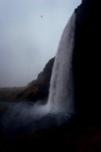 Nature, Iceland, Wet