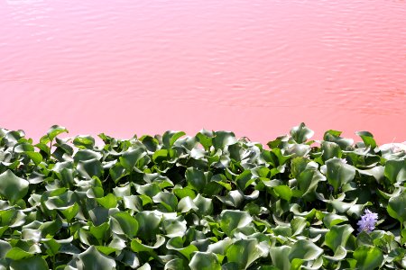 India, Hosapete, Water