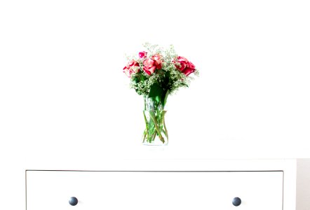 red rose in clear glass vase