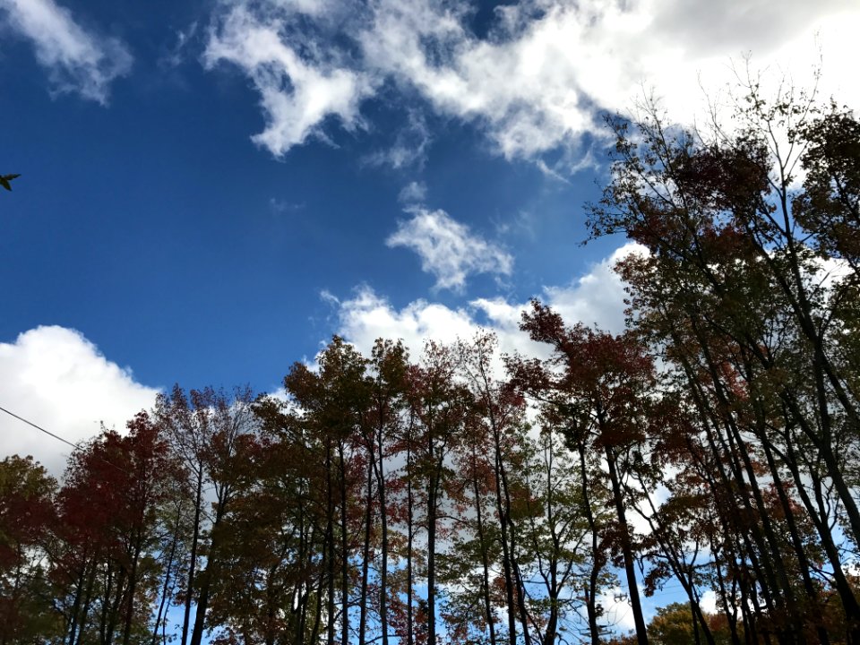Wilmington, United states, Nature