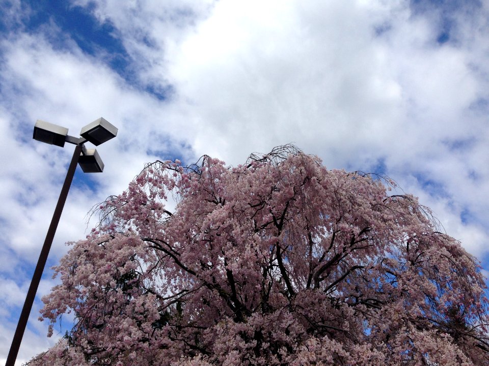 Wilmington, United states, Sky