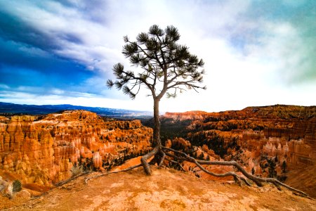 Bryce canyon national park, United states photo