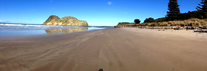 Whangara Island, New Zealand, Walk