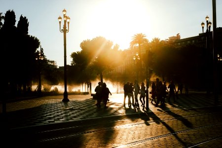 silhouette photo of people at park during golden hour photo