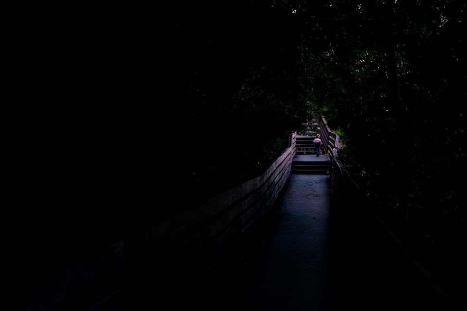 man walking on bridge