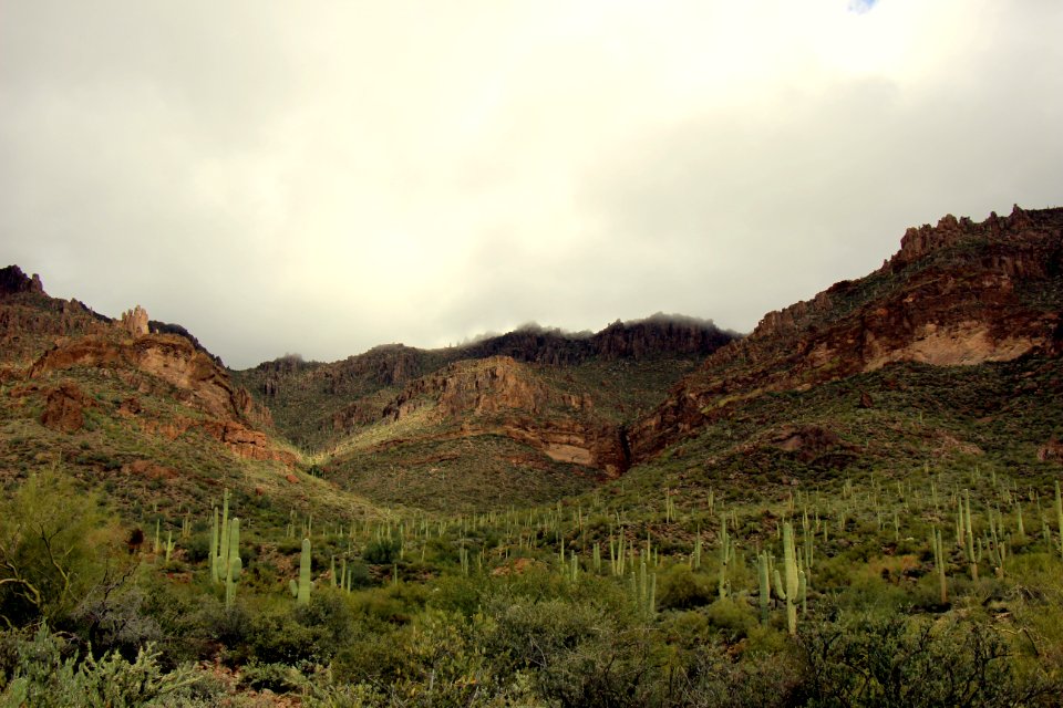 Lost dutchman state park, Apache junction, United states