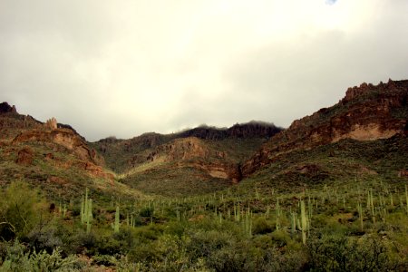 Lost dutchman state park, Apache junction, United states photo