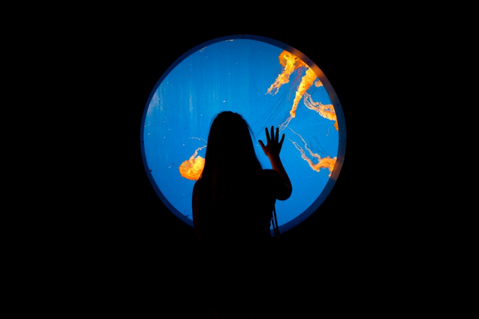 The maritime aquarium at norwalk, Norwalk, United states