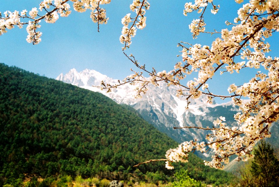 Yulong snow mountain, Lijiang, China
