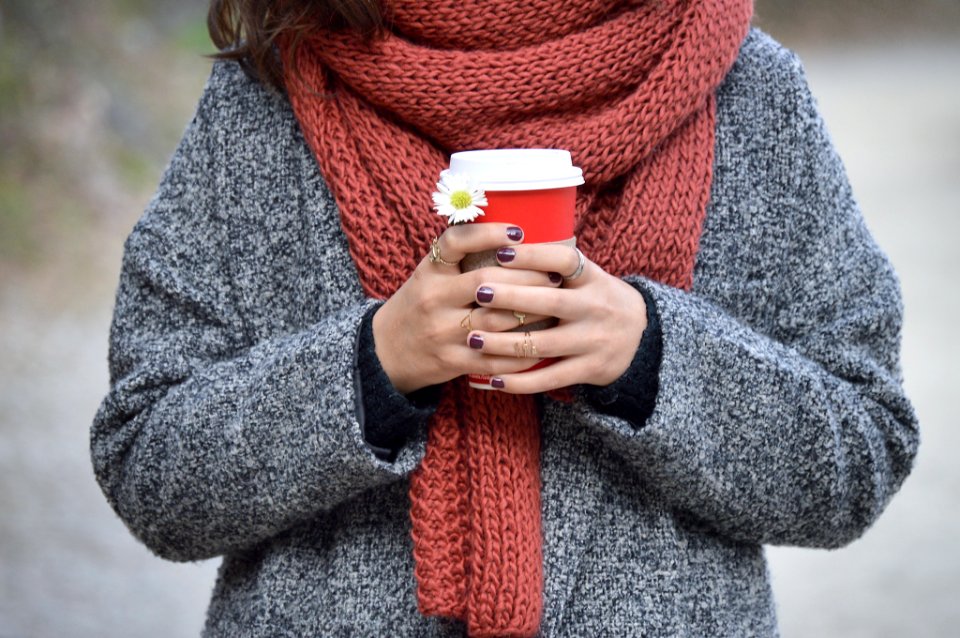 person holding red and white disposable cup photo