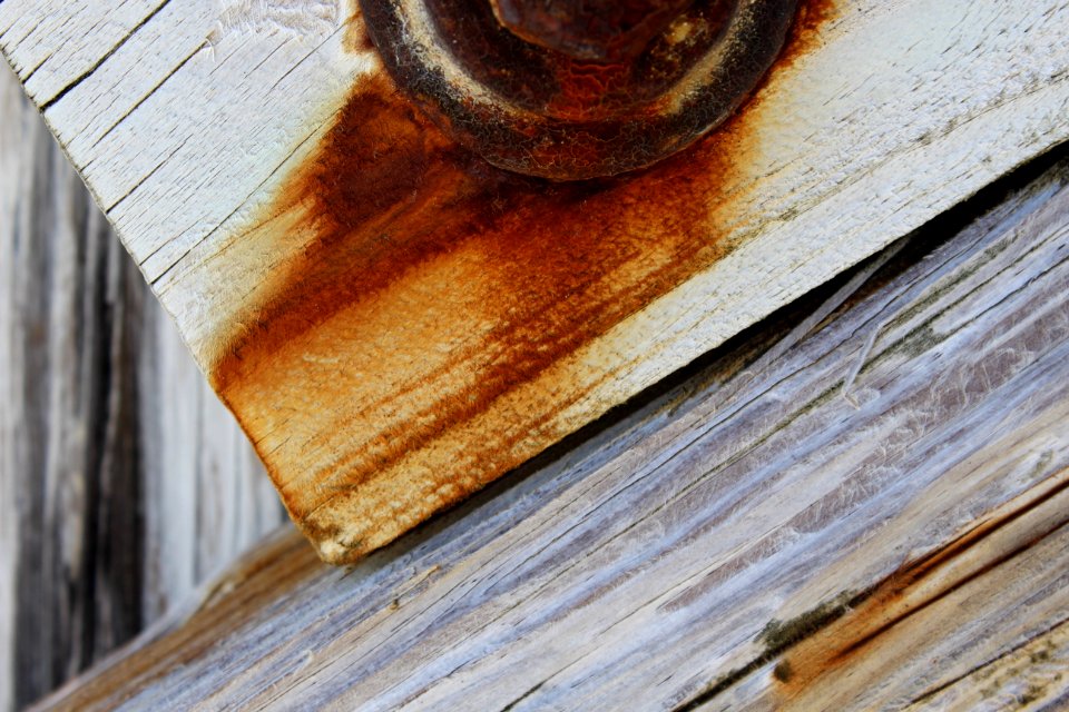 Indian rocks beach, United states, Wood