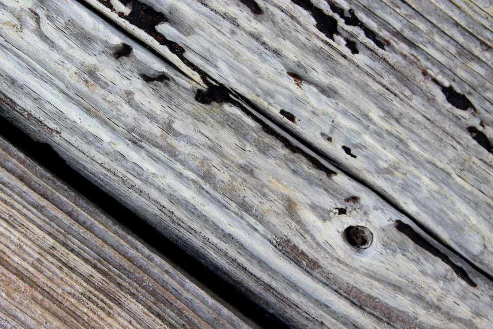 Indian rocks beach, United states, Rustic wood photo