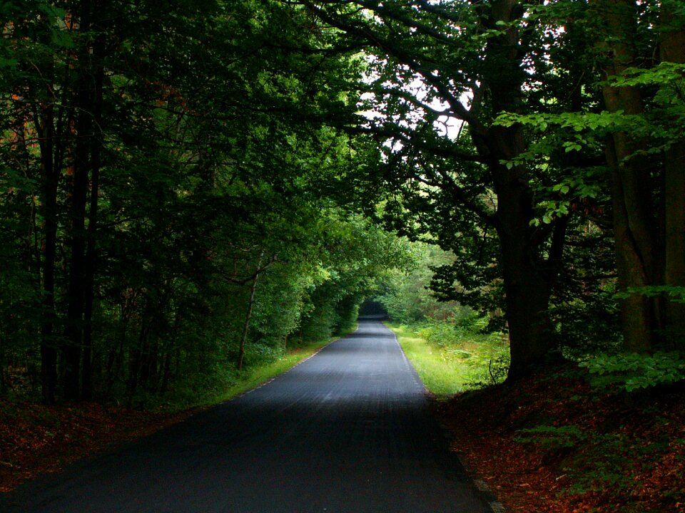 Alley asphalt trail photo