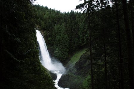 waterfalls surrounded by trees photo