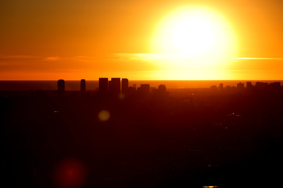 silhouette of high-rise buildings during golden hour