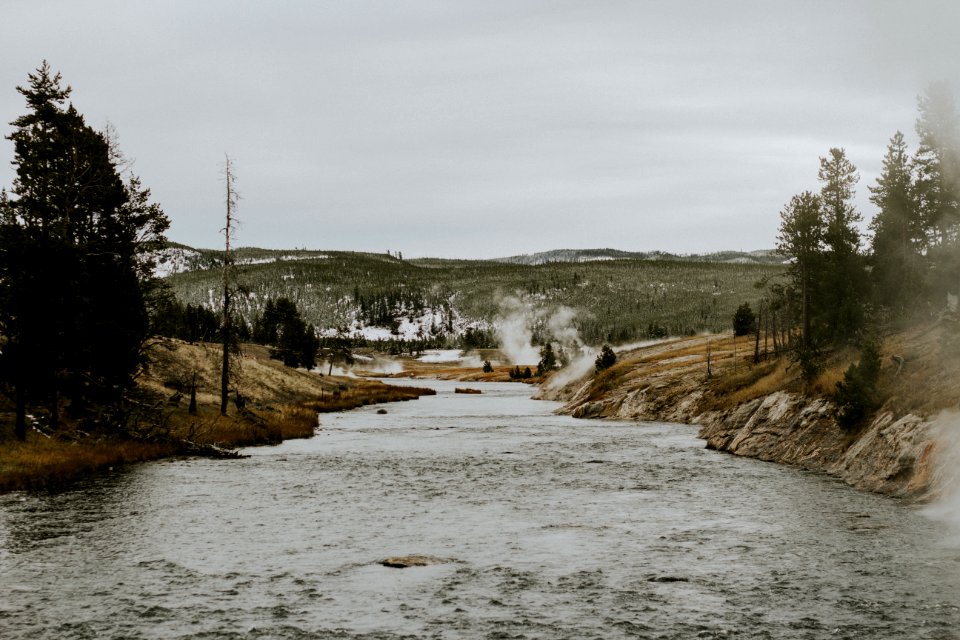 water river near grass field photo