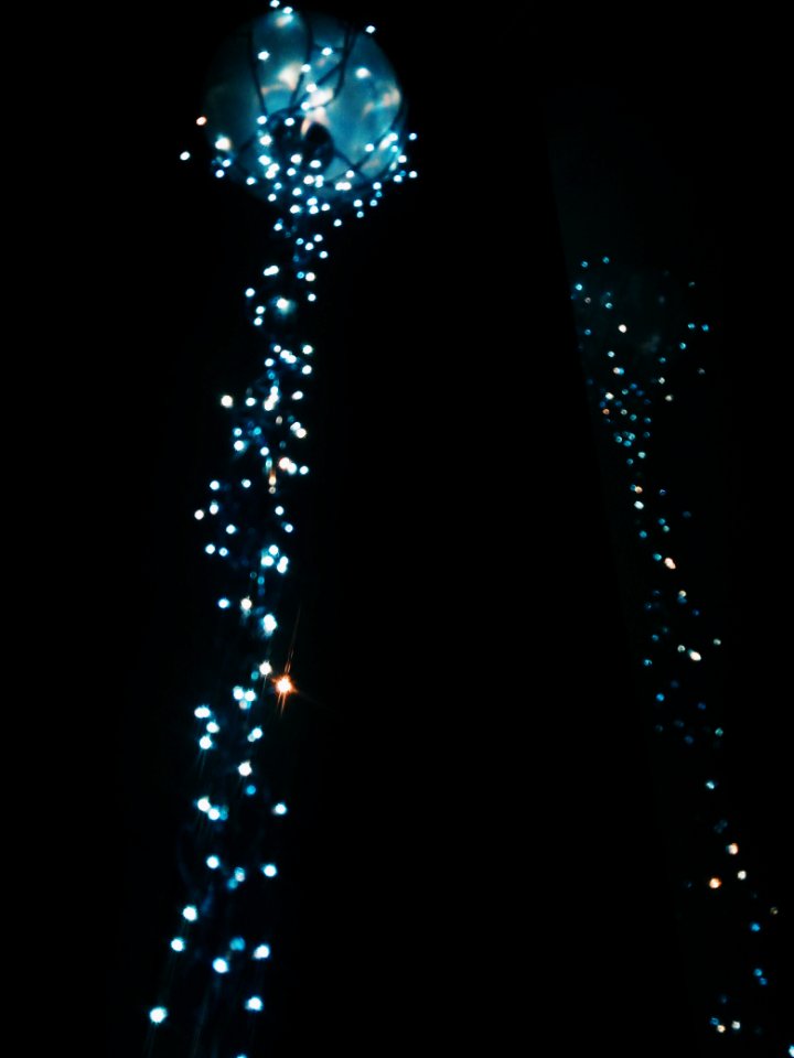 Blueblack, Garland, Night