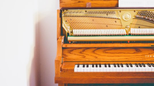 Carousel piano studio, Rogers, United states