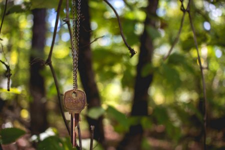 gray key hanging on tree photo