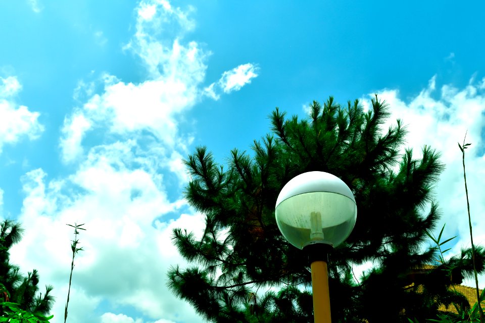 Lamp, Winter, Sky