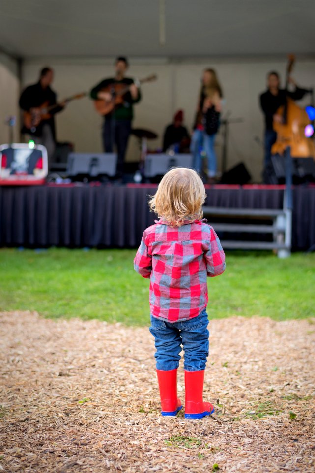 Musician, Spectacle, Music