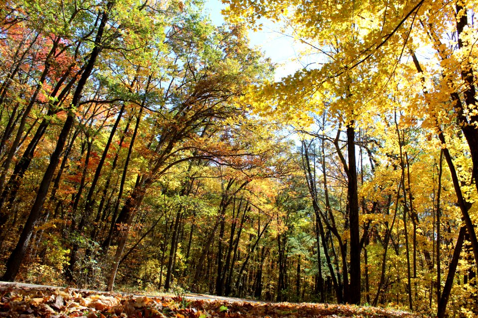 Devils lake state park, Baraboo, United states