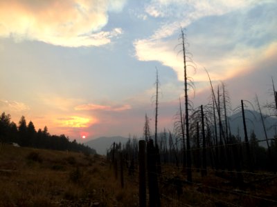 Wildfire, Fire, Burnt