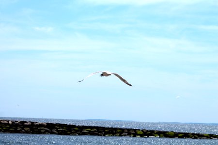 Bridgeport, United states