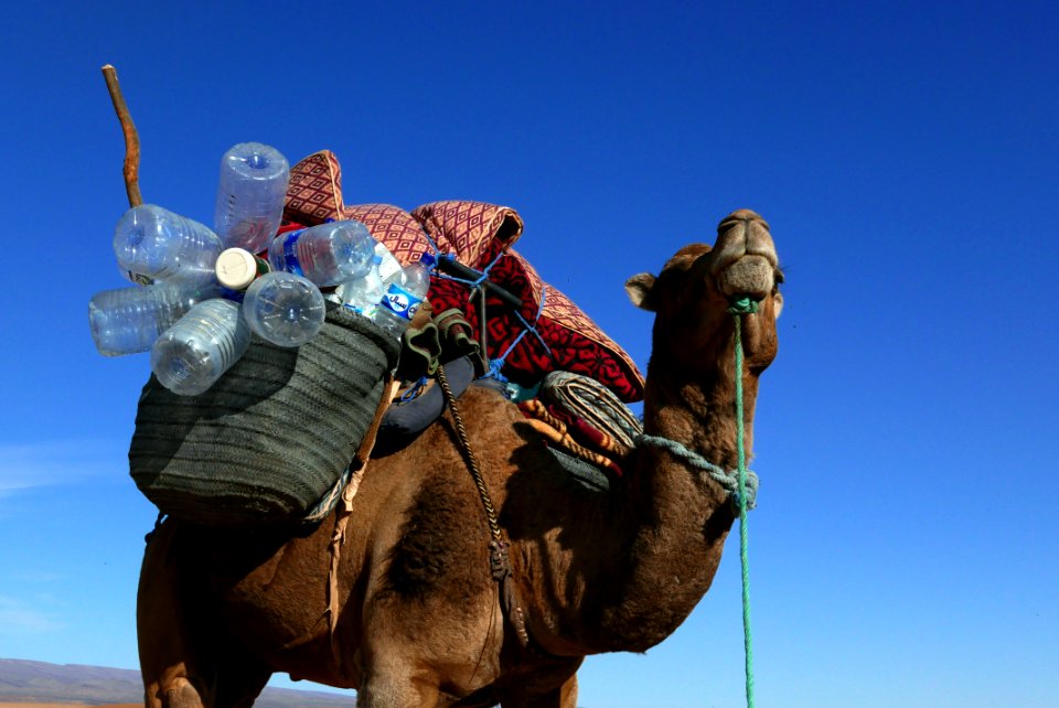 Morocco, Foum zguid, Desert