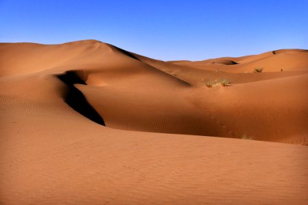 Morocco, Ouarzazate, dune photo
