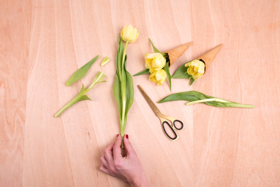 yellow petaled flower cut and placed on cones photo