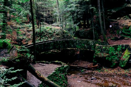 The hocking hills, Logan, United states photo