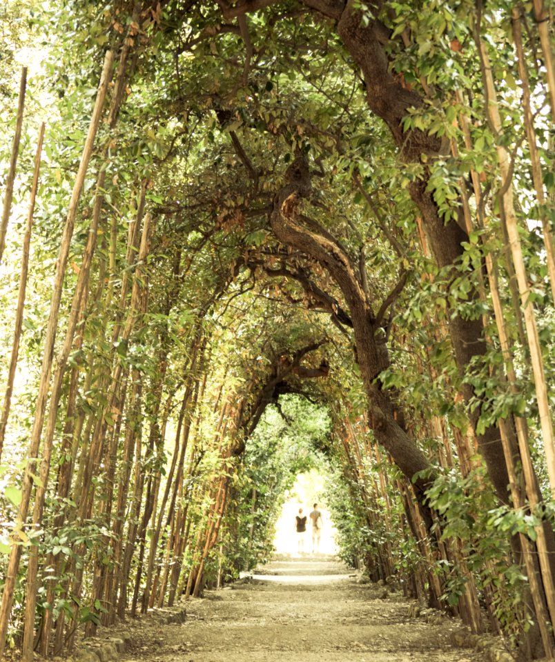 Florence, Boboli gardens, Italy