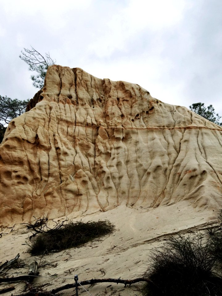 San diego, Torrey pines, United states