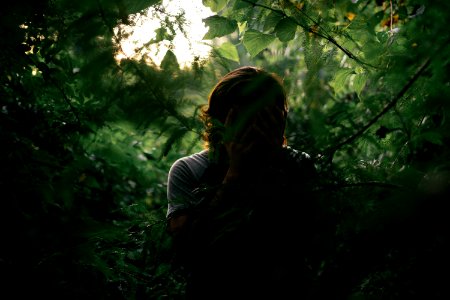 Greenery, Branches, Shadows