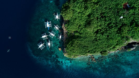 aerial photography of several white boats near island