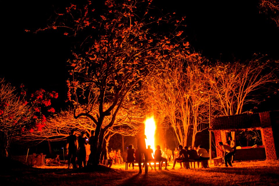 Mudumalai, India, Forest