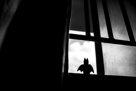 A Lego Batman toy sitting in a window looking out to the sky. photo