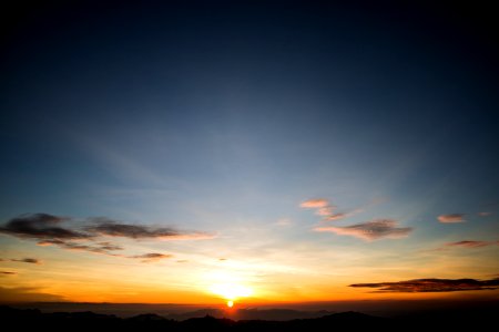 Sunrise, Morning, Forest