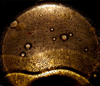 Olive oil boiling water abstract
