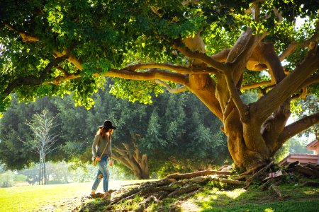 woman walking under tree during daytime photo