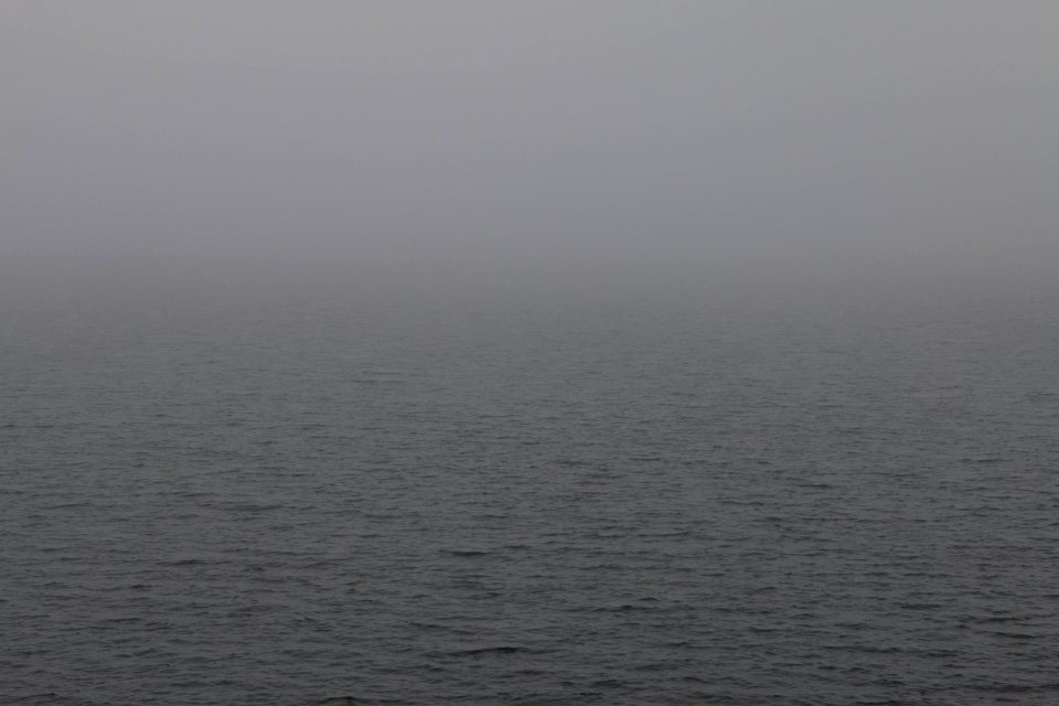 Tomales bay, United states