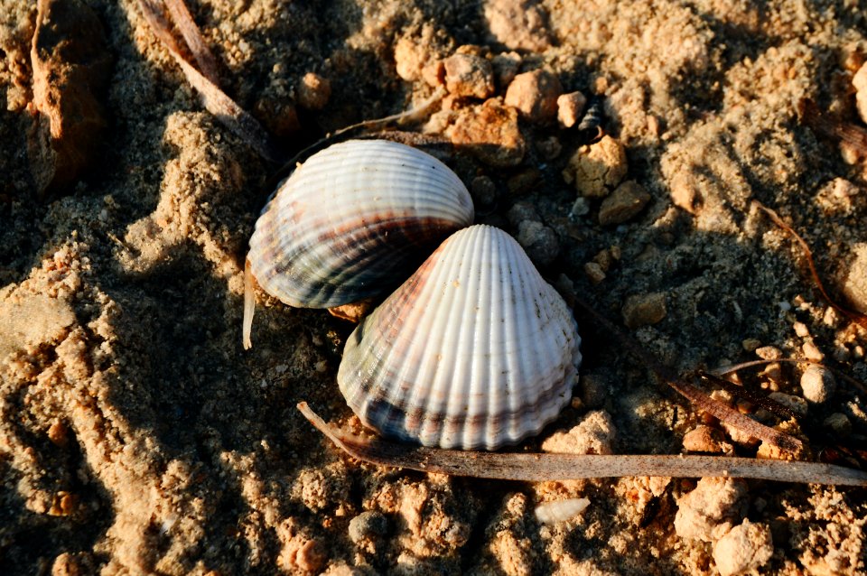 Ghizen, Tunisie, Beach