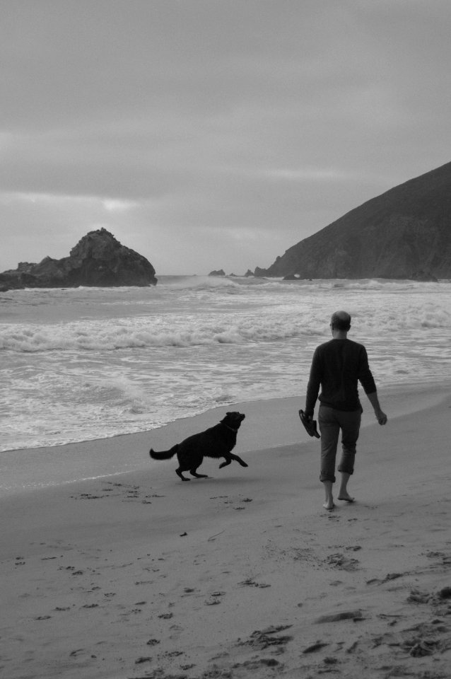 Big sur, Pfeiffer beach day use area, United states