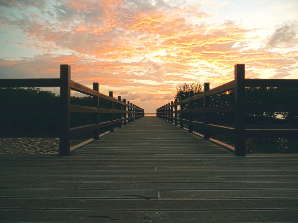 photo of brown wooden dock near trees under cloudy sky photo taken during sunset