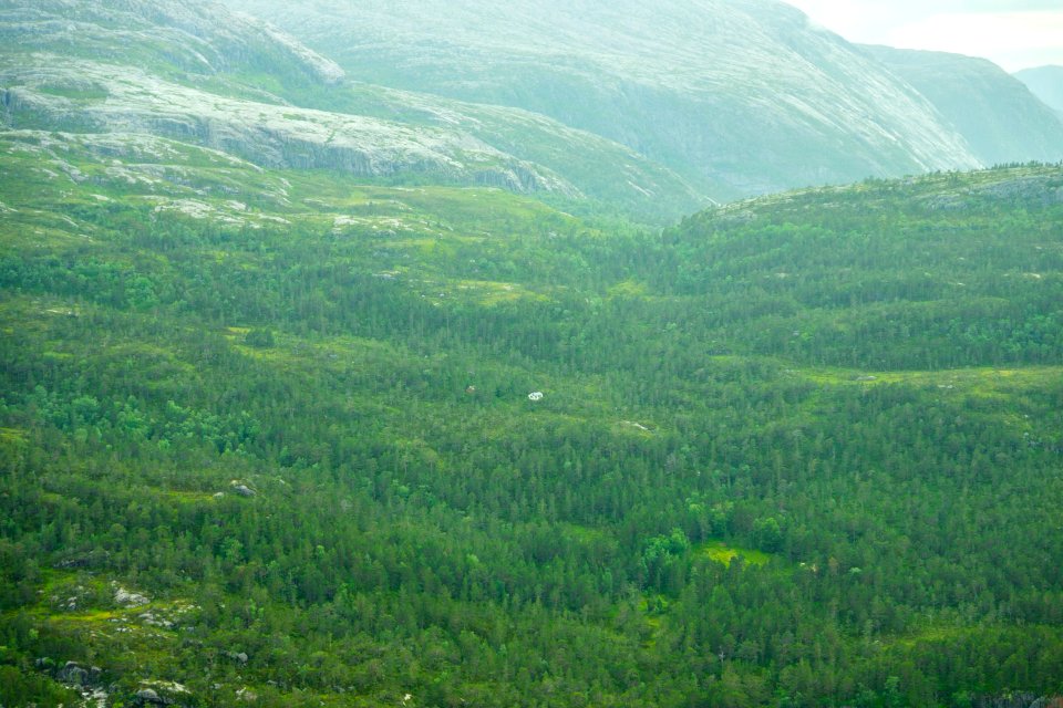 Flrli, Norway, Red