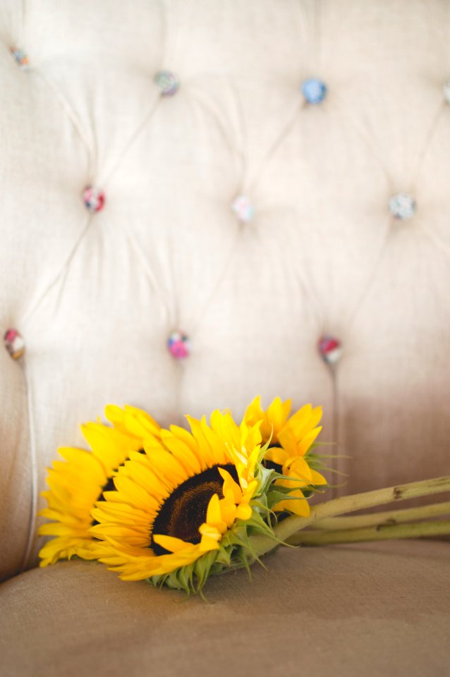 Flowers, Sunflowers, Floral