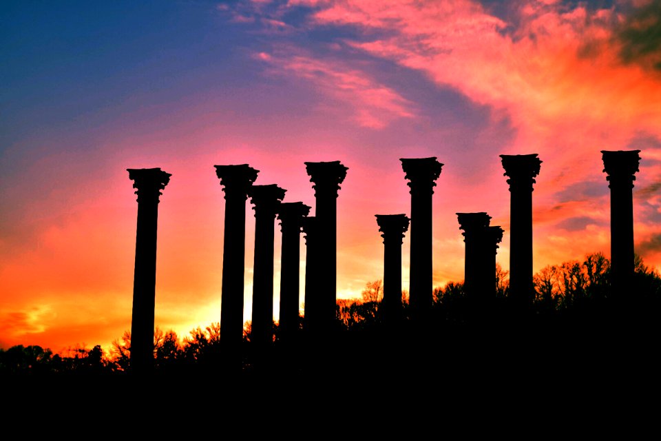 United states national arboretum, Washington, United states