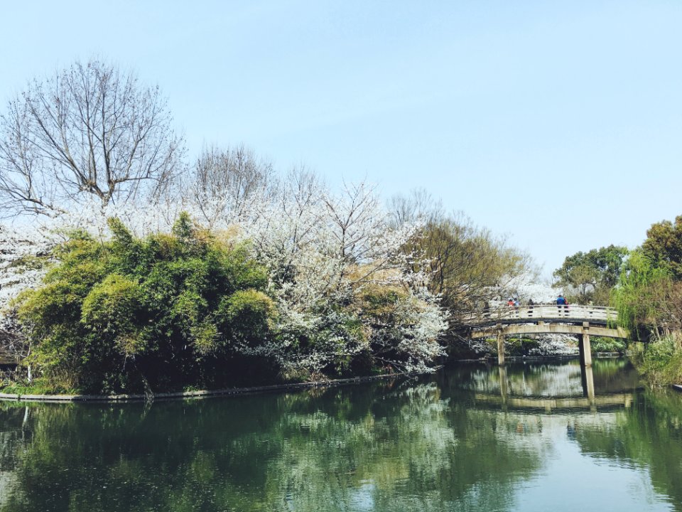 Bridge in