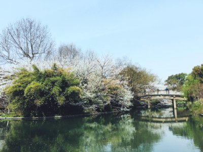 Bridge in